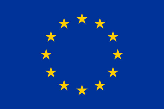european flag.jpg